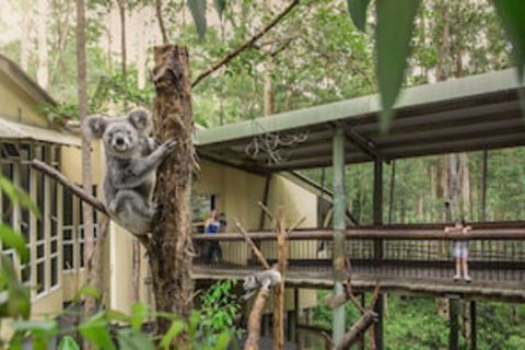 Springwood Meditation Vacation Center - Accommodation Port Macquarie 0