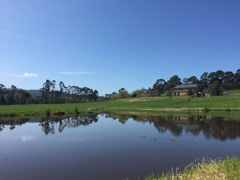 Labertouche Gypsy Creek Winery - Accommodation Port Macquarie 6