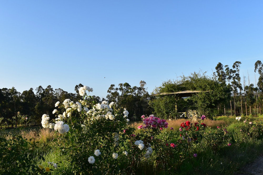 Labertouche ACT Accommodation Port Macquarie