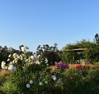 Labertouche Gypsy Creek Winery - Accommodation Port Macquarie