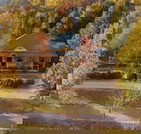 Autumn Beauty 3 - Accommodation Port Macquarie