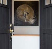 Fox on the Run - Motel Kilmore - Accommodation Port Macquarie
