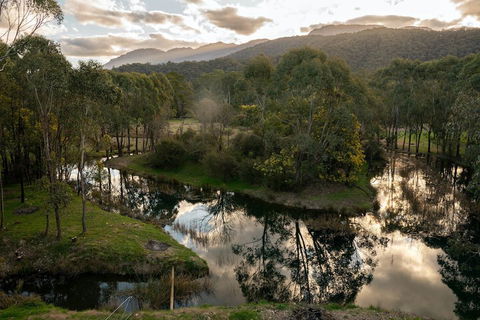 Dreaming Of The Buckland - Accommodation Port Macquarie 1