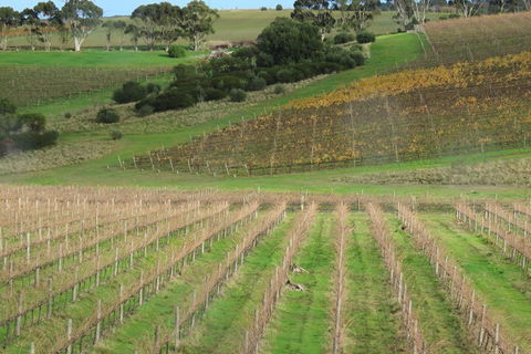 Hotel California Road Inkwell Wines - Accommodation Port Macquarie 4