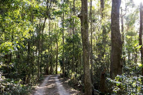 Rosewood Estate - Accommodation Port Macquarie 1