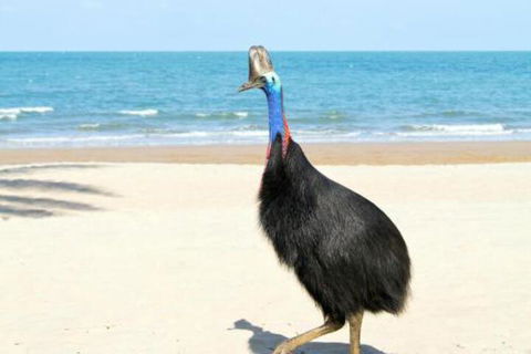 Kirrama 3 - Accommodation Port Macquarie 4
