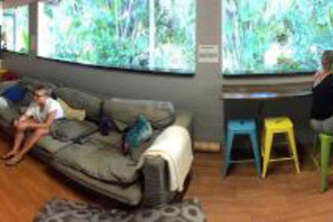 Mission Beach Retreat - Accommodation Port Macquarie 3