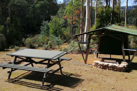 Minnow Cabins - Accommodation Port Macquarie 6