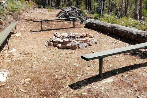 Minnow Cabins - Accommodation Port Macquarie 5
