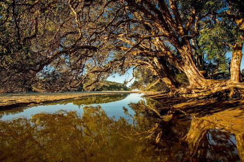 Woolgoolga Lakeside Holiday Park - Accommodation Port Macquarie 1