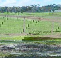 Yea Woodduck Cottage - Accommodation Port Macquarie