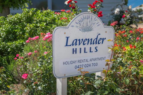 Lavender Hills 12 Bennett Street - Accommodation Port Macquarie 7