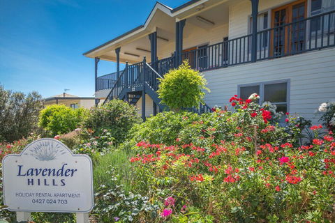 Lavender Hills 12 Bennett Street - Accommodation Port Macquarie 3