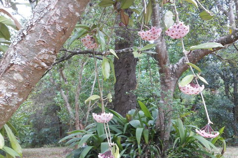 Crabbes Creek Cottages - Accommodation Port Macquarie 5