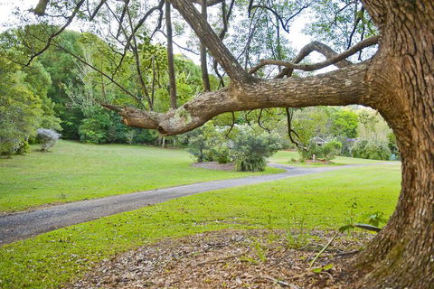 Crabbes Creek Cottages - Accommodation Port Macquarie 3