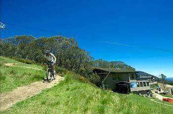 Snowlands Apartments - Accommodation Port Macquarie 1