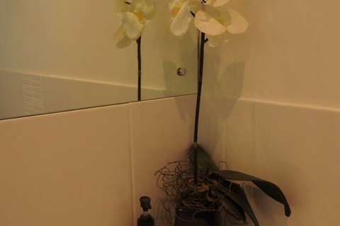 Sanctuary In The Valley - Accommodation Port Macquarie 4