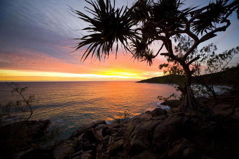 Jimmys Shout Pet Friendly - Accommodation Port Macquarie 6
