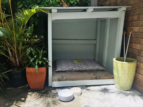 Jimmys Shout Pet Friendly - Accommodation Port Macquarie 3