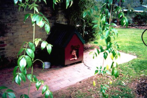 Kurrajong Trails And Cottages - Accommodation Port Macquarie 1