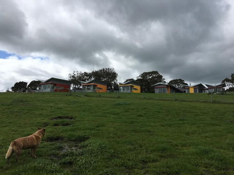 Lush Pastures - Accommodation Port Macquarie 1