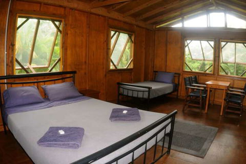 Daintree Rainforest Bungalows - Accommodation Port Macquarie 4