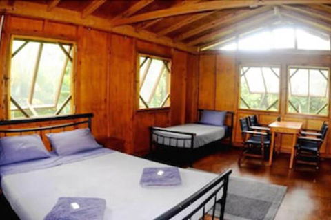 Daintree Rainforest Bungalows - Accommodation Port Macquarie 5