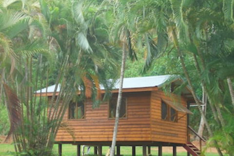 Daintree Rainforest Bungalows - Accommodation Port Macquarie 0