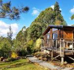 Southern Forest Accommodation - Accommodation Port Macquarie