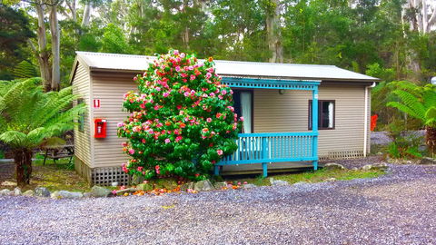 BIG4 Strahan Holiday Retreat - Accommodation Port Macquarie 6