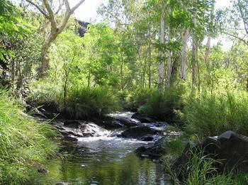 Mt Hart Homestead - Accommodation Port Macquarie 4