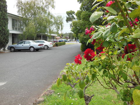 Ringwood Motel - Accommodation Port Macquarie 1