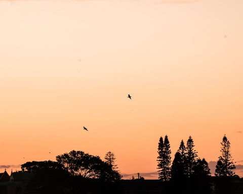 Terrigal Pacific Coastal Retreat - Accommodation Port Macquarie 5