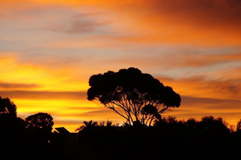 Lindsays Of Kangaroo Island - Accommodation Port Macquarie 0