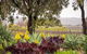 Linger Longer Vineyard Bed & Breakfast - thumb 2