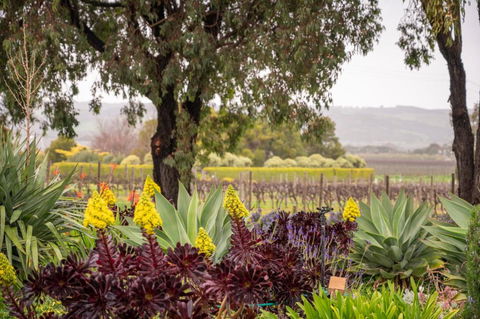 Linger Longer Vineyard Bed & Breakfast - Accommodation Port Macquarie 2