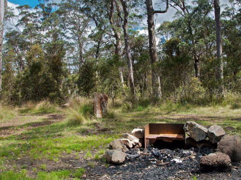 A Room With A View Bed & Breakfast - Accommodation Port Macquarie 3