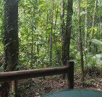 Daintree Crocodylus - Accommodation Port Macquarie