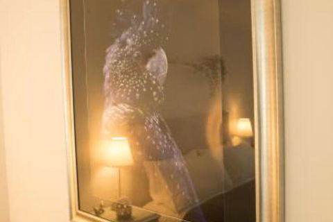 Lindas Place B & B - Accommodation Port Macquarie 7