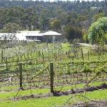 Eureka Farm - Accommodation Port Macquarie 0