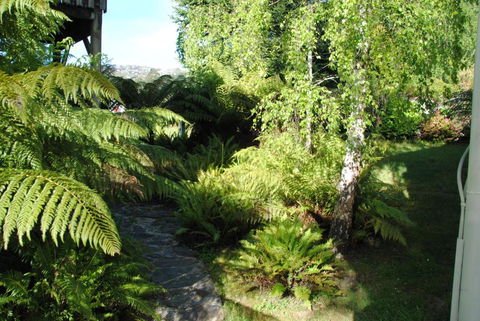 The Wombat Cottage - Accommodation Port Macquarie 4