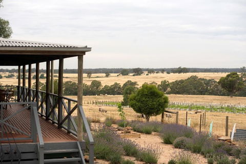 Gilgraves Vineyard Farmstay - Accommodation Port Macquarie 2