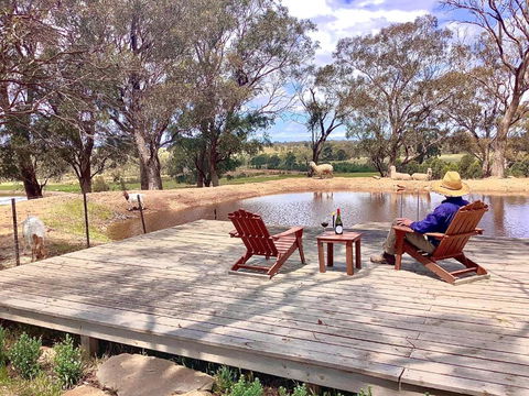 Gilgraves Vineyard Farmstay - Accommodation Port Macquarie 6