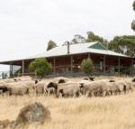 Gilgraves Vineyard Farmstay - Accommodation Port Macquarie