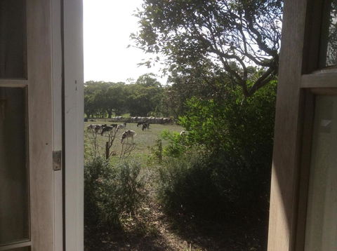 Aashay B & B - Accommodation Port Macquarie 3