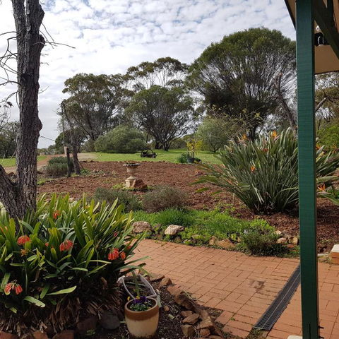 Pecan Hill BNB - Accommodation Port Macquarie 4