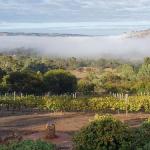 Pecan Hill BNB - Accommodation Port Macquarie 0