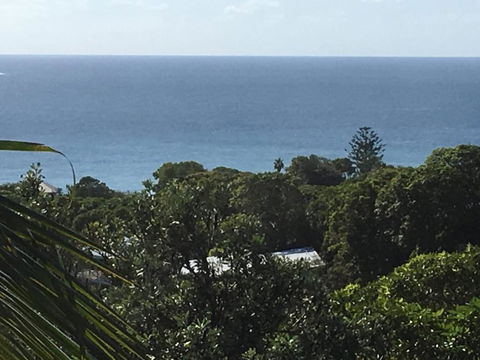 Cylinder Palms - Accommodation Port Macquarie 5