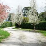 Robin Hill Manor Rambling Retreat & Tennis Court - Accommodation Port Macquarie 0