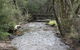 Shady Brook Cottages - thumb 2